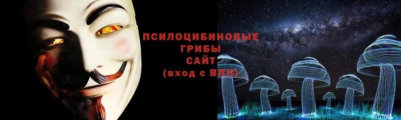 сайты даркнета официальный сайт  Ершов  Галлюциногенные грибы Psilocybine cubensis  как найти закладки 